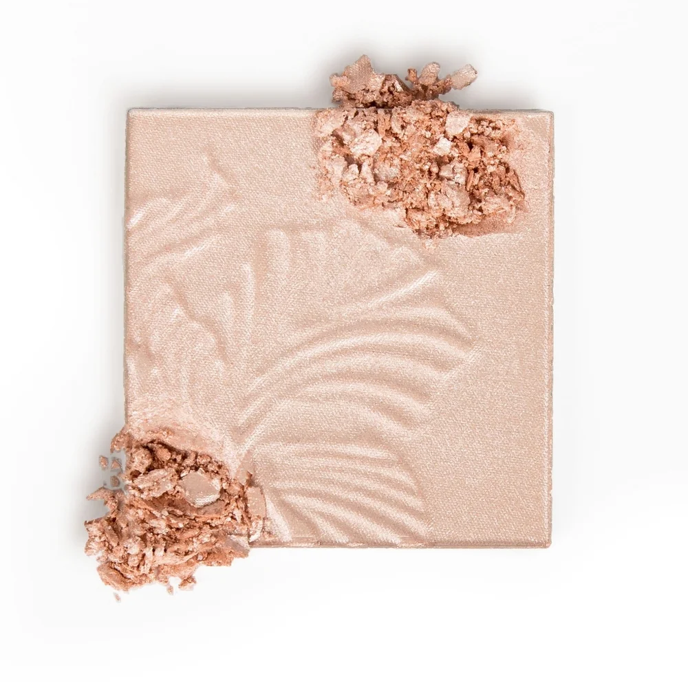 Wet N Wild Bronzer & Highlighter Bundle - Blossom Glow and What Shady Beaches.